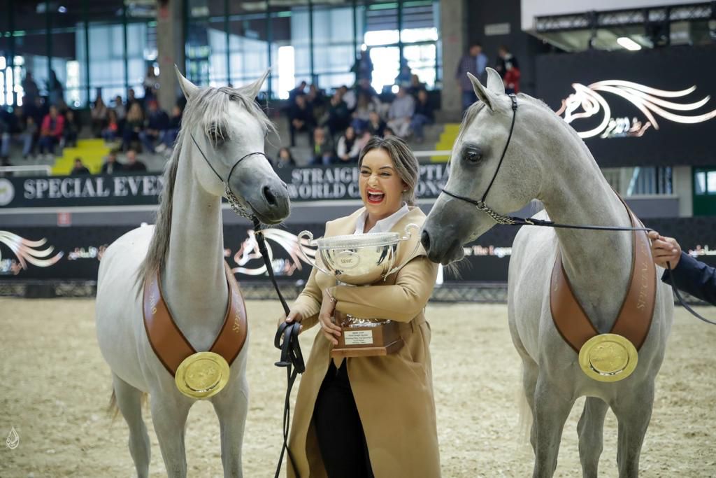 Elouise - Filly Gold Champion and Bronze Champions and .jpeg